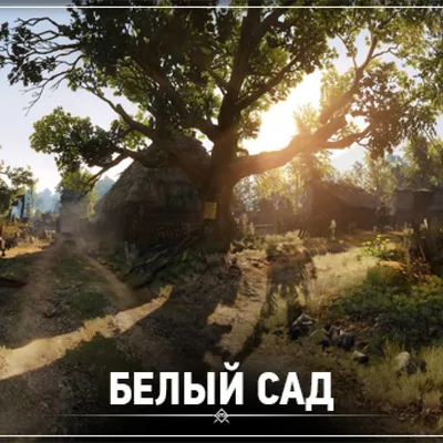 Белый сад - Студия ландшафтного дизайна «Зеленый город»