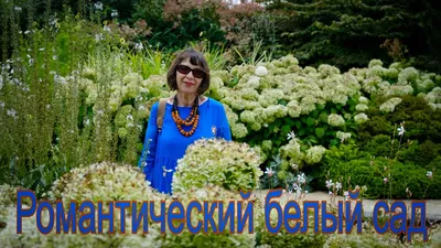 Архитектура, цветущий белый сад, …» — создано в Шедевруме