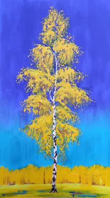 Фото америка Colorado Aspen Осень береза Природа лес Ствол дерева