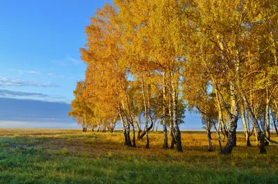 картинки : Осень, падать, снег, Канал, Береза, дерево, Размышления,  природа, воды, Природный ландшафт, лист, река, банка, небо, Водоток,  Древесное растение, Водный путь, филиал, Солнечный лучик, пейзаж,  Государственный парк, зима, поток, Пруд, лес,