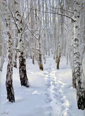 Зима, зимний лес, березы в снегу :: Алена Булдина – Социальная сеть ФотоКто