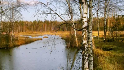 Новые фото природы большого разрешения и высокого качества