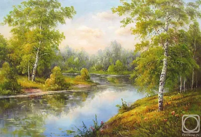 Картина маслом «Березы у реки» - художник Киреева Наталья 001035