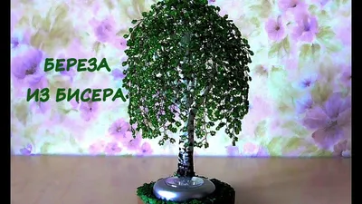 Денежное дерево из бисера (71 фото): пошаговые мастер-классы для начинающих  по изготовлению денежного дерева своими руками