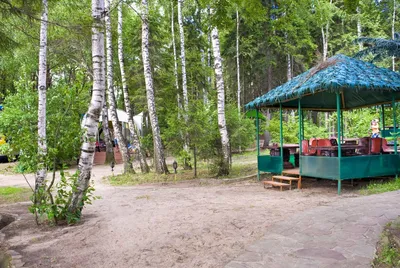 Беседки со сруба любой сложности / Альтанка цена. Купить альтанки. Беседка  цена. Беседка в сад. / продам / 107 объявлений / page 1 /