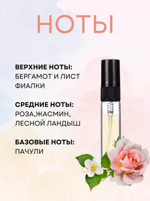 Нежнейший комплект yves rocher( ив роше), цена 150 грн - купить Украшения  бу - Клумба