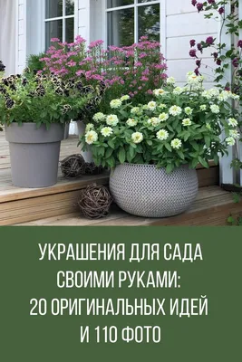 Благоустройство участка: с чего начать и как обустроить территорию своими  руками (55 фото) - Дом Mail.ru