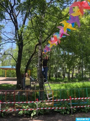 Благоустройство участка. Благоустройство дачного участка