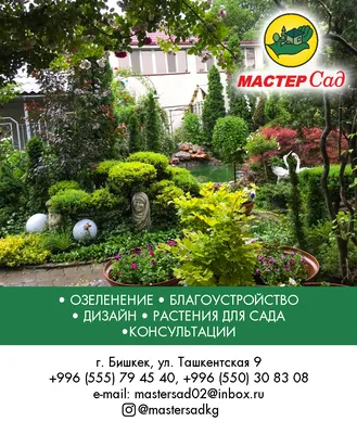 Клумбы и цветники своими руками на даче