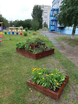 Архангельск • Городская Администрация