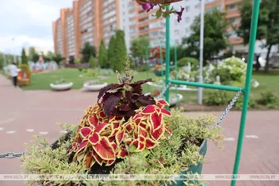 Все проекты конкурса концепций благоустройства территории, прилегающей к  «МФК «Ривьера». ЖК №1» в Ижевске | портал о дизайне и архитектуре