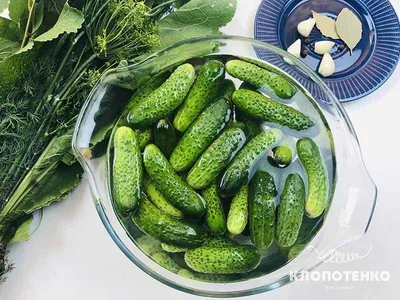 Салат с кукурузой, яйцами и огурцом - Лайфхакер