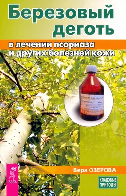 Береза - Интернет-журнал «Живой лес»