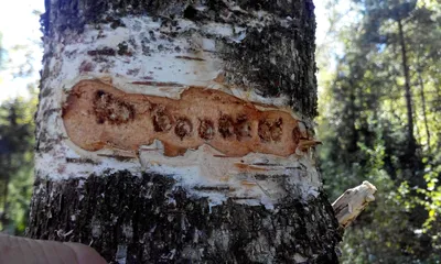 11 апреля. Берещенье. Именно так... - Городок Красноармейск | Facebook
