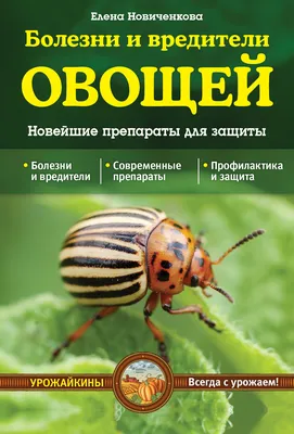 Болезни и вредители огурцов на Supersadovnik.ru