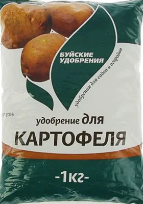 Популярные болезни картофеля. Виды заболеваний и их причины