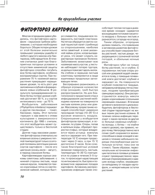 Антракноз картофеля: фото и методы лечения | Картофельные технологии