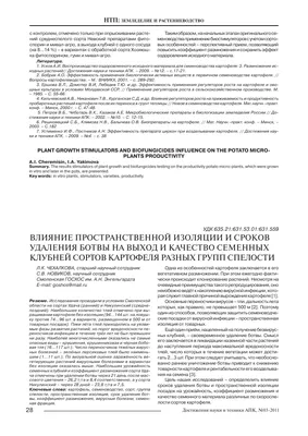 Когда выкапывать картофель на хранение в 2021 году: как определить, что  можно копать картофель - 5 августа 2021 - 74.ru