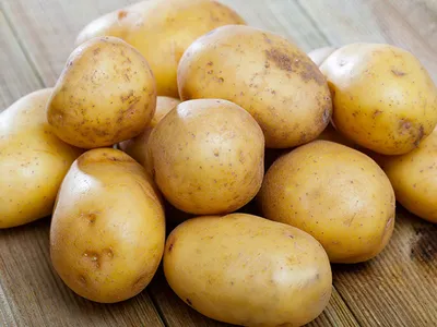 ГлавАгроном - Парша клубней картофеля: виды, симптоматика, меры борьбы