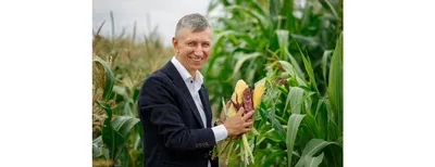 Рекомендации по выращиванию сахарной кукурузы