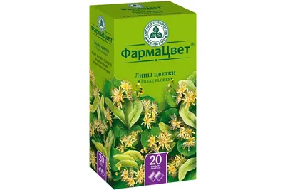 Веник липовый «Отборный» – купить за 350 ₽ | Сила Бани — товары для бани и  здоровья