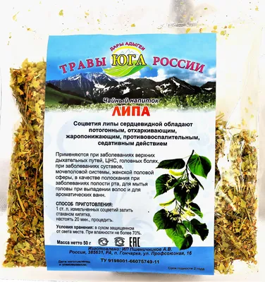 Липа – описание и применение