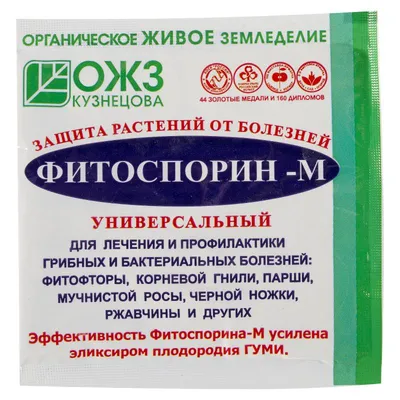 Цветки картофеля: чем они полезны и нужно ли их обрывать?: Общество:  Облгазета