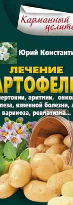 Курчавость листьев — Википедия