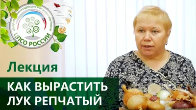 Основные болезни земляники - самые Грядка