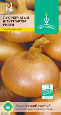 Спасаем рассаду: 10 распространенных проблем и способы борьбы с ними |  AgroMarket интернет магазин семян