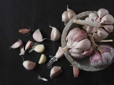 Удобрение Florizel для лука и чеснока ОМУ 0.05 кг в Рязани – купить по  низкой цене в интернет-магазине Леруа Мерлен