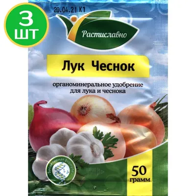 Чеснок и луковый отвар: правда ли они помогают от простуды — читать на  Gastronom.ru