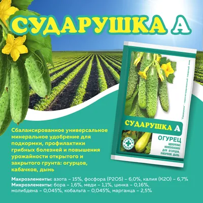 Болезни и вредители огурцов: описание, фото листьев, лечение, способы борьбы