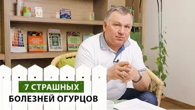 Выращивание огурцов в теплице из поликарбоната зимой: как правильно, чтобы  не замерзли