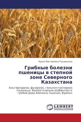 Бактериальные болезни пшеницы - zerno-ua.com