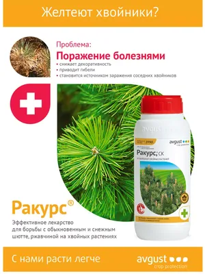 Avgust Средство от болезней хвойных Ракурс - купить в Дмитрове, Москве и  Московской области по низкой цене