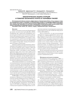 Что делать, когда огурцы горчат - 12 августа 2021 - 74.ru