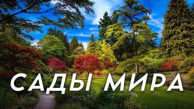 11 садов мира с высоты птичьего полета | AD Magazine