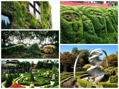 Источник вдохновения: 5 самых красивых садов мира