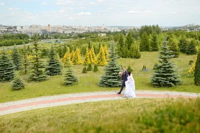 Ботанический сад в Белгороде — официальный сайт, купить саженцы, концерты,  экскурсии, цена билета, адрес, фото, как добраться