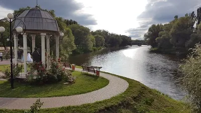 Как цветёт сирингарий в Белгороде. Фоторепортаж