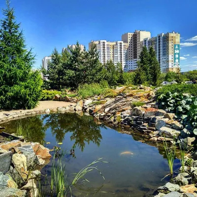 Ботанический сад Челябинского государственного университета 🌱 — Наш  Челябинск