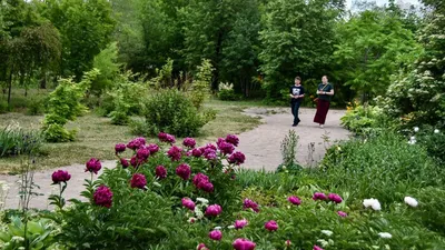 Свидание в ботаническом саду в Челябинске - Ради Любви