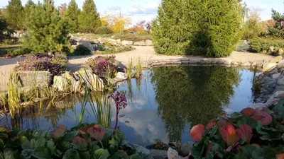Ботанический сад ЧелГУ в Челябинске (Россия) с фото и отзывами