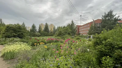 Ботанический сад, ЧелГУ, улица Братьев Кашириных, 129, Челябинск — 2ГИС