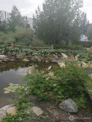 Отзыв о Ботанический сад ЧелГУ (Россия, Челябинск) | Суслики довольны))