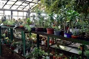 Ботанический сад ЧелГУ приглашает челябинцев в Школу садоводов -  Рамблер/субботний