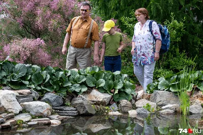 Что посмотреть в Ботаническом саду Челябинского госуниверситета 9 июля 2019  г - 9 июля 2019 - 74.ru