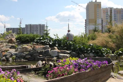 Отзыв о Ботанический сад ЧелГУ (Россия, Челябинск) | Приятное место в сером  Челябинске