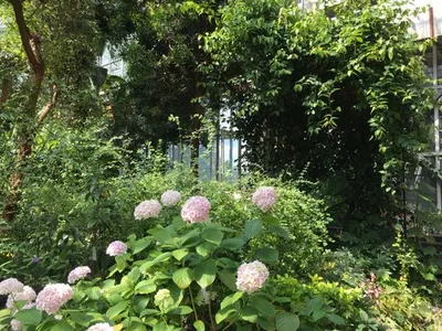 Botanical Garden, Цюрих: лучшие советы перед посещением - Tripadvisor